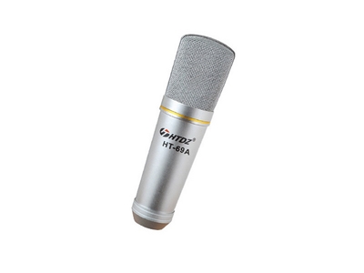 Microphone canon professionnel